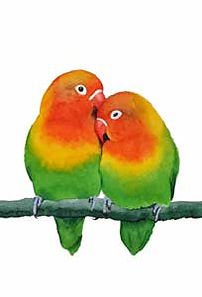 Love-Birds-Portrait.jpg