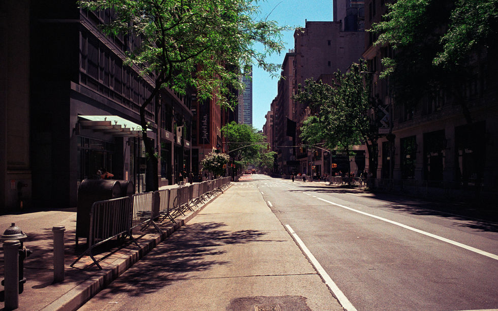 Quiet city street with trees and buildings.