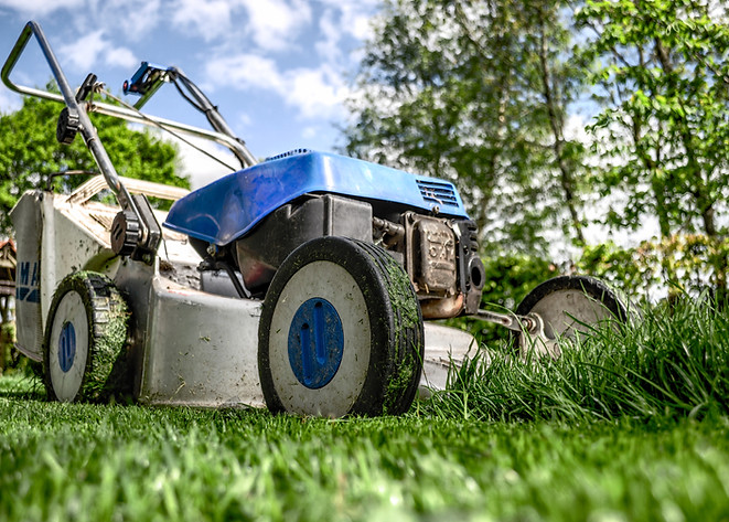 Lawn Mower Selection Support