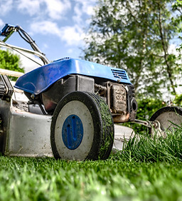 Lawn Mower Selection Support