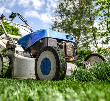 Lawn Mower Selection Support