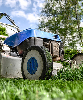 Lawn Mower Selection Support