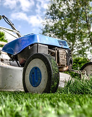 Lawn Mower Selection Support
