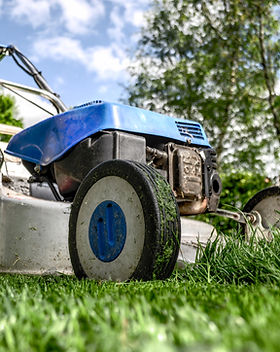Lawn Mower Selection Support