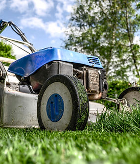 Soutien Lawn Mower Selection