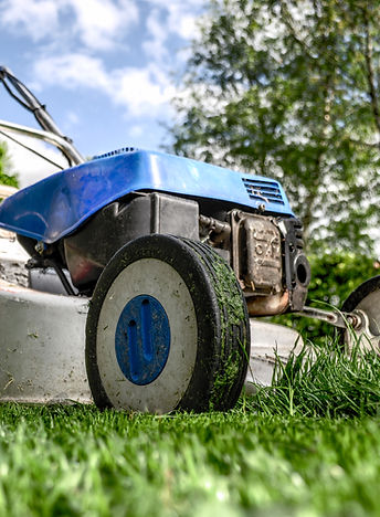 Soutien Lawn Mower Selection