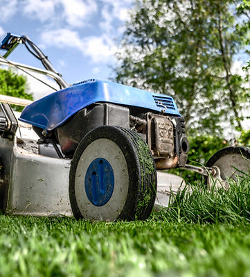 Lawn Mower Selection Support