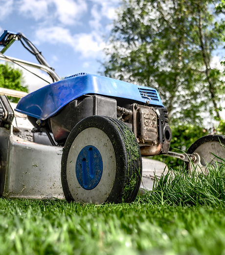 Lawn Mower Selection Support
