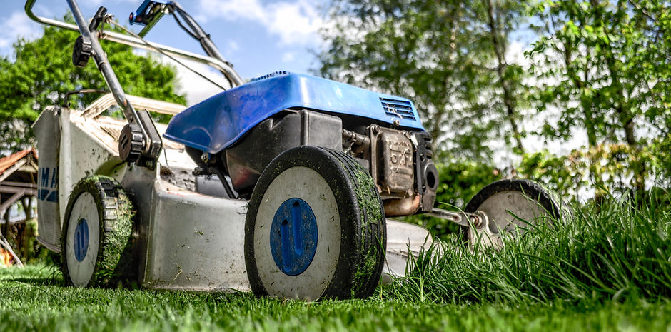 Lawn Mower Selection Support