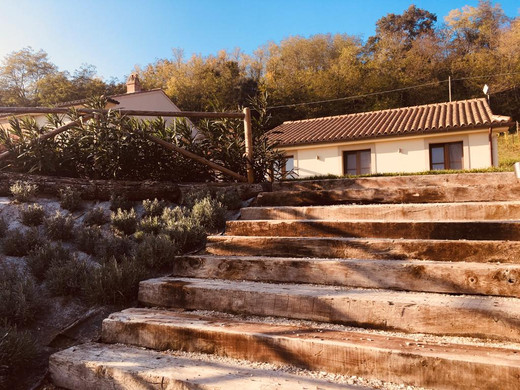 WhatsApp Image 2019-11-01 at 18.44.55.jp