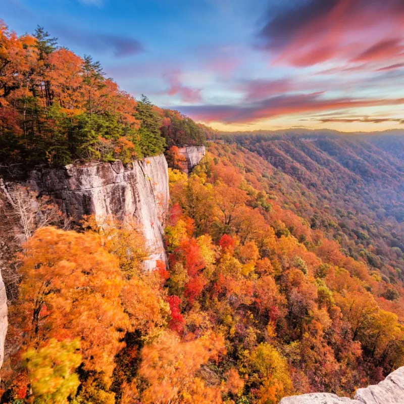 Aerial-view-of-New-River-Gorge-canyon-in-West-Virginia.jpg.webp