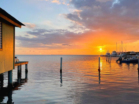 "Conoce El artista que más admiro"