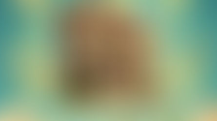 Possessed By Possessions!