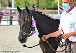 117982681_384736512513414_11111056373523