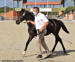 117891717_2883806445182881_1915011339151