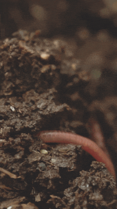 High-resolution product footage from Connetts Farm – showcasing handcrafted farm goods, artisan processes, and natural ingred