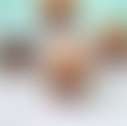 Cupcakes de Chocolate 