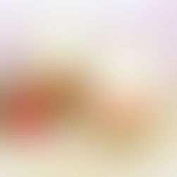 Cheesecake sin horno