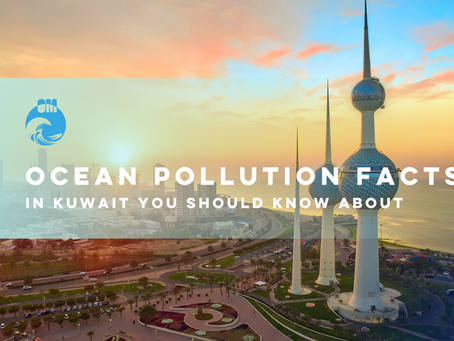 Ocean Pollution Facts in Kuwait You Should Know About