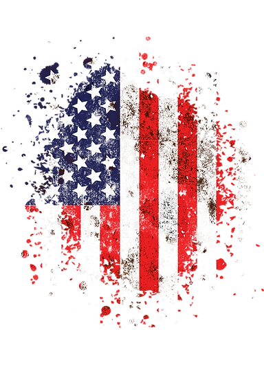Political Fundraising Issue Advocacy Campaign Contributions