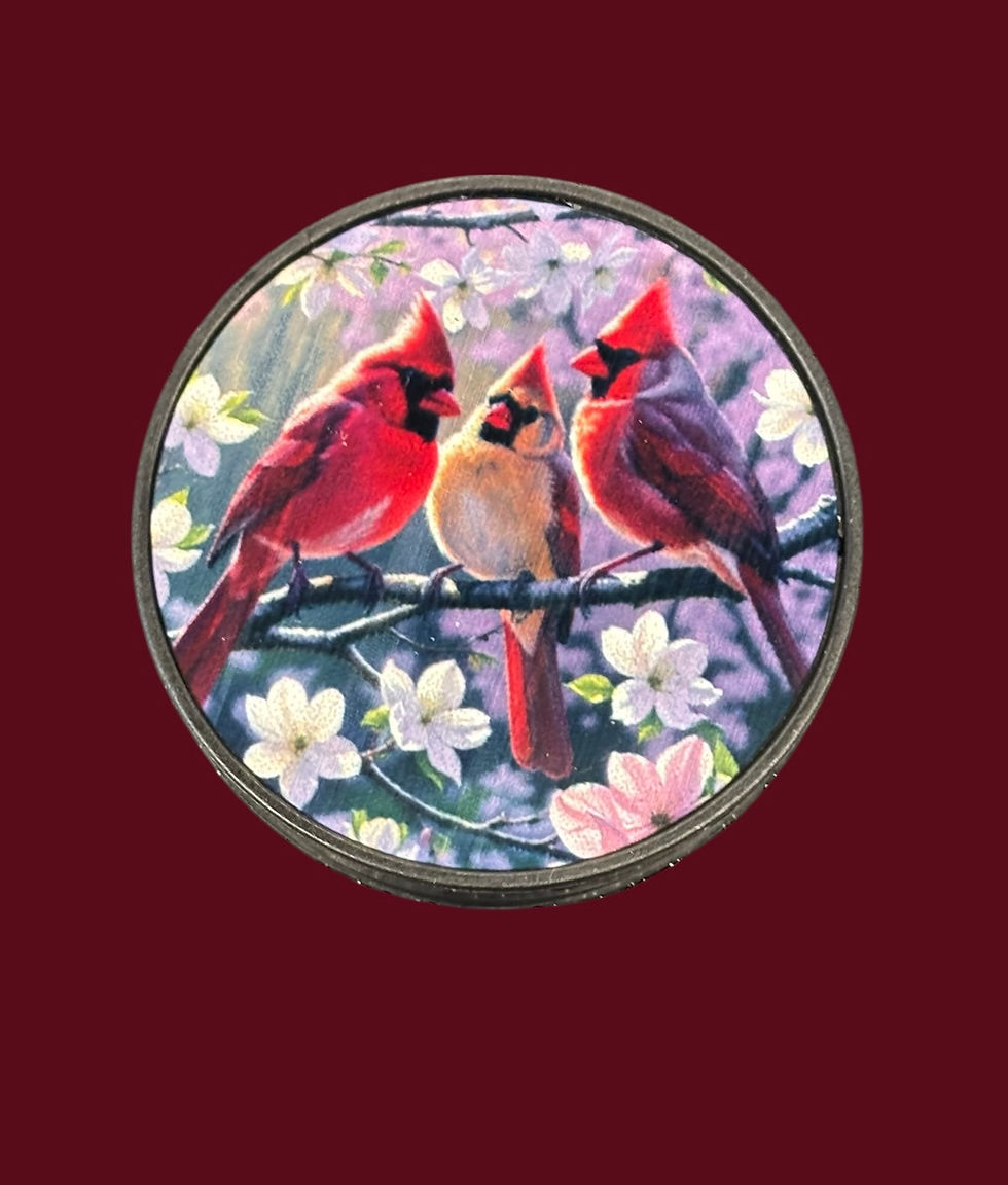 Thumbnail: Cardinal Popsockets