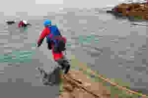 Live bait rescue - rocky landings