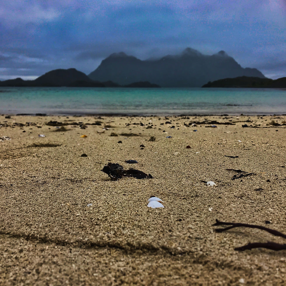 Coral beaches, huge mountains and aquamarine seas
