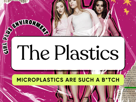 Meet The (micro) Plastics 