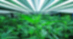 bild 3_edited_edited.jpg