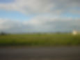 DSC00241.JPG