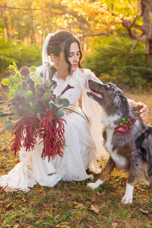 Bride holding a custom Christmas bouquet and petting a dog wearing a custom floral collar