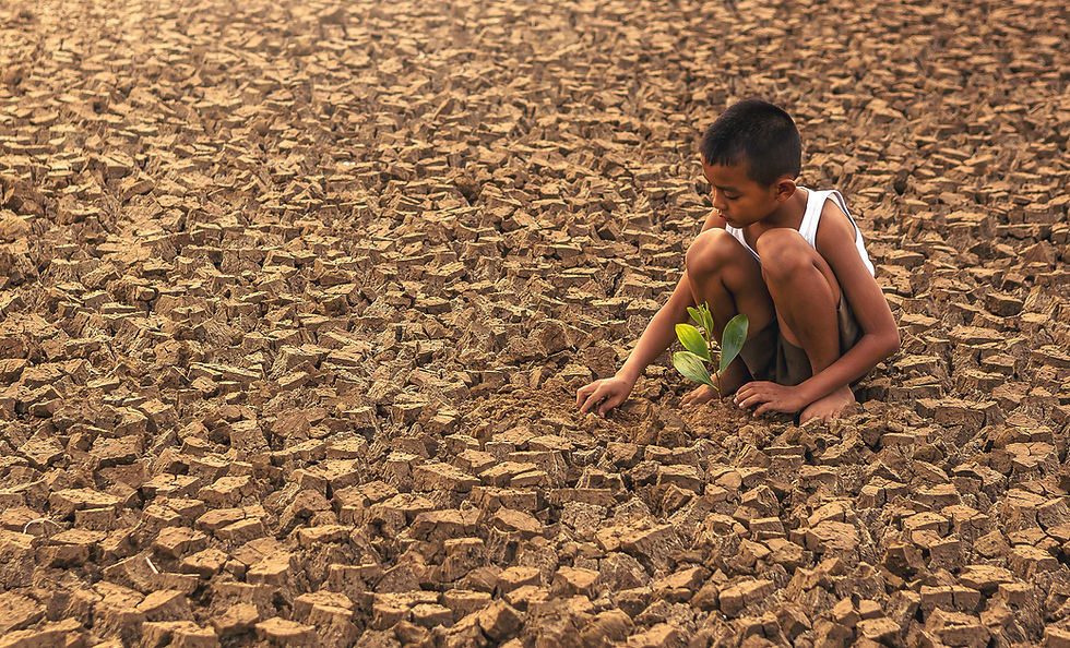COP27 – Fundos de Perdas e Danos do Clima