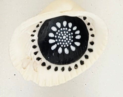 Thumbnail: Artist: Girija Kaimel, Title: Black or White (Shells 1 - 10)