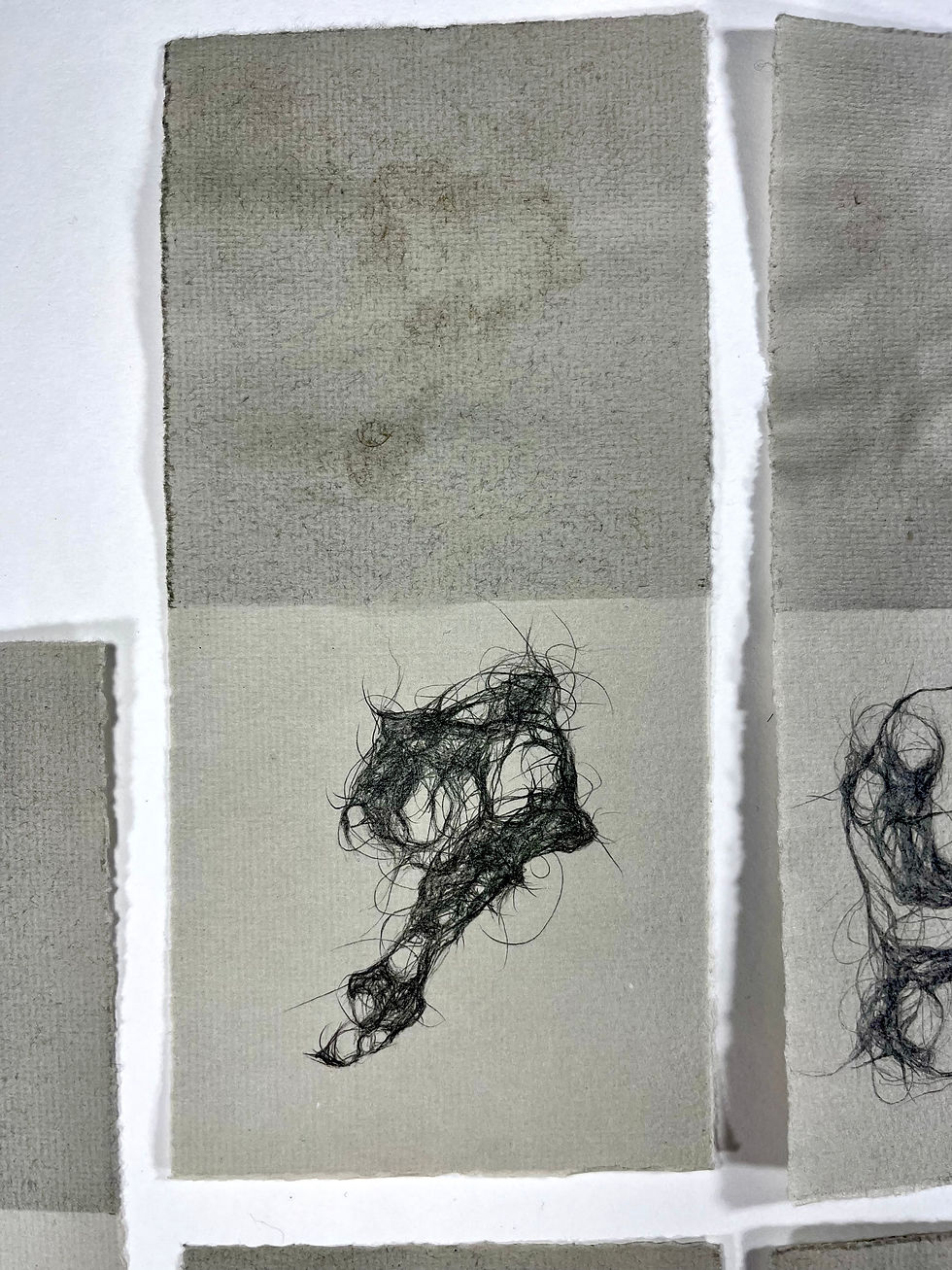 Thumbnail: Artist: Cameron Barker, Title: Keepsakes