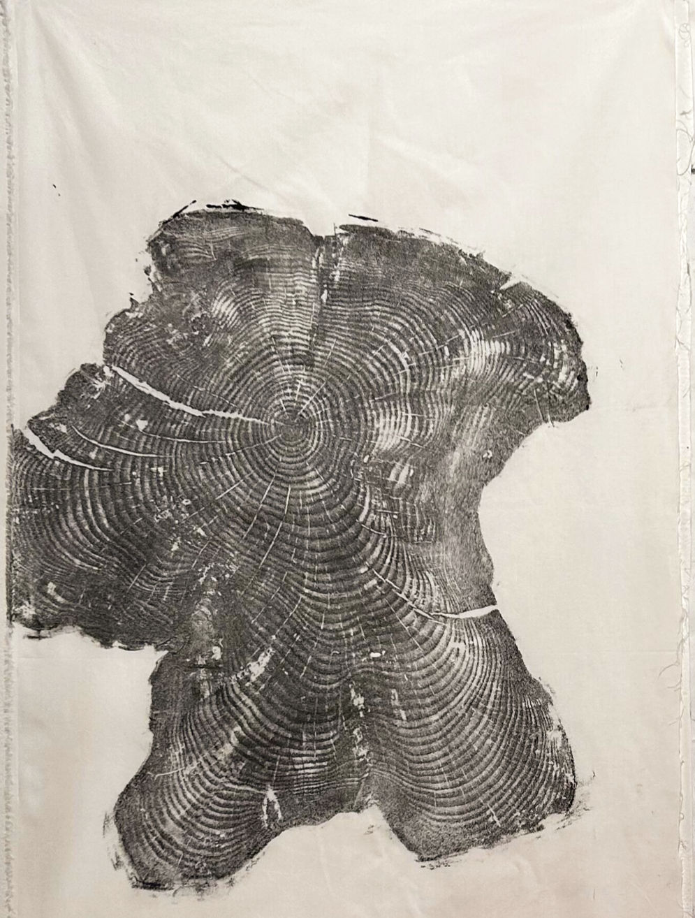Artist: Vivian Lehrer, Title: Song Species (Cream 1)