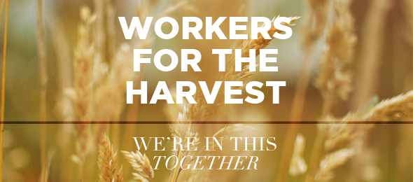 Follow-up Workers For The Harvest
