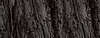 wood section background oak (1).png