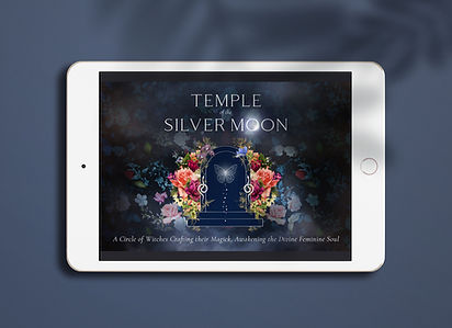 SilverMoon_FacebookGroup_Mockup.jpg