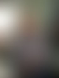 Chegada do Hofner da Alemanha.