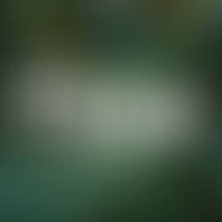 Google’s Veo 3 blends visuals, sound, and storytelling, powered entirely by text prompts.