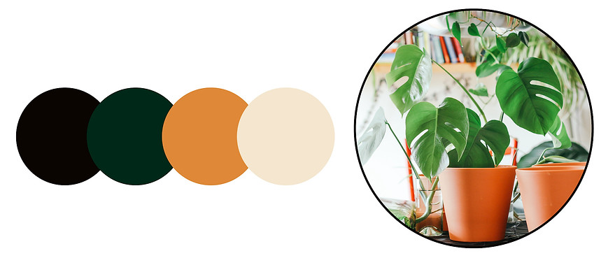 WMN Colour pallette in 4 circles on the left and an image on pot plants in a circle with a clack outline on the right