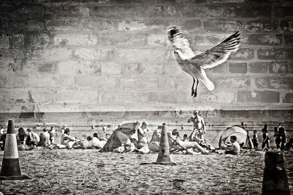 'You lookin' @ me?' - Jonathan on Camber Sands
