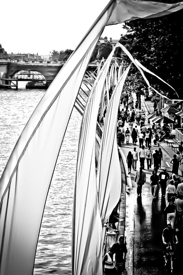 Summer on La Seine - Paris