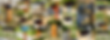 Photo1.png