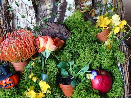 今月のアレンジフラワー教室・・・ハロウィーン🎃