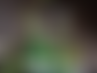 ２月のアレンジフラワー教室