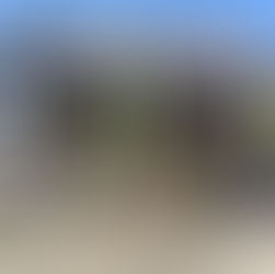 社長、国府宮裸祭りに参戦！