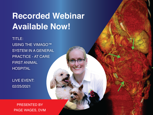 [Recorded Webinar Available Now] HDVI: Using the Vimago™ System in a General Practice