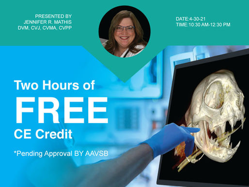 [Live] HDVI: Senior Dental Care They're Not Too Old