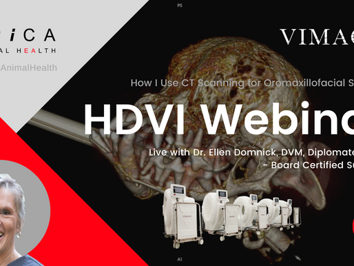 [Recorded Webinar Available Now] HDVI Webinar: How I Use CT Scanning for Oromaxillofacial Surgery